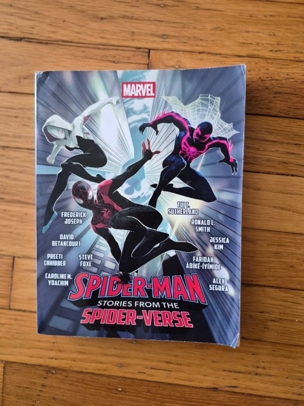 Spider-Man: Stories From The Spider-Verse Comic Book